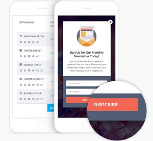 mobile ready newsletter signups